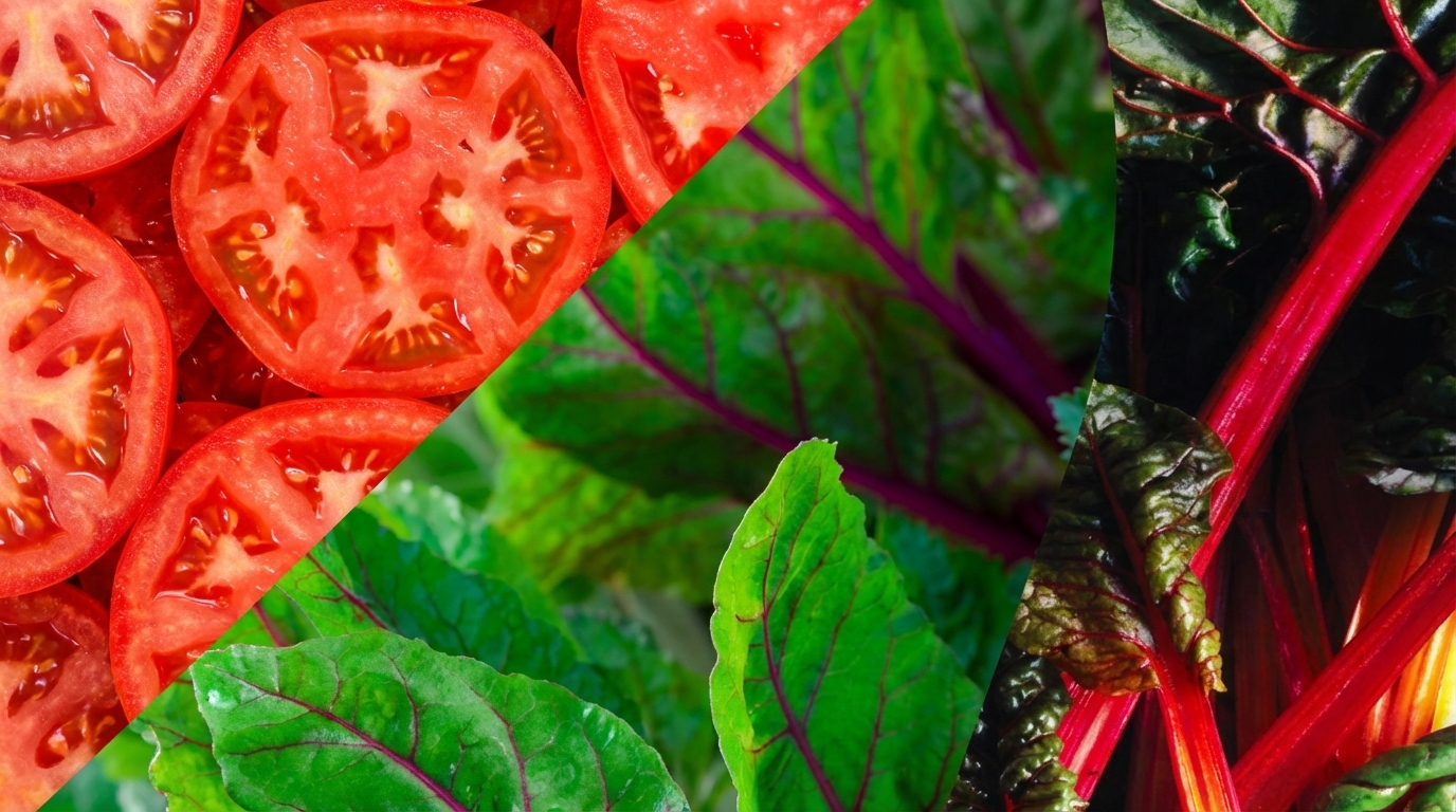Foods for Glowing Skin: What to Eat for Better Complexion