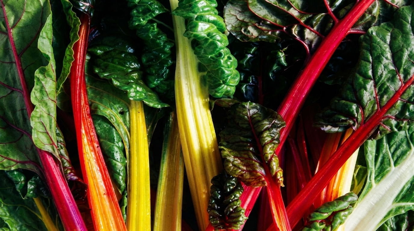 Foods That Cause Bloating: What to Avoid & Better Options
