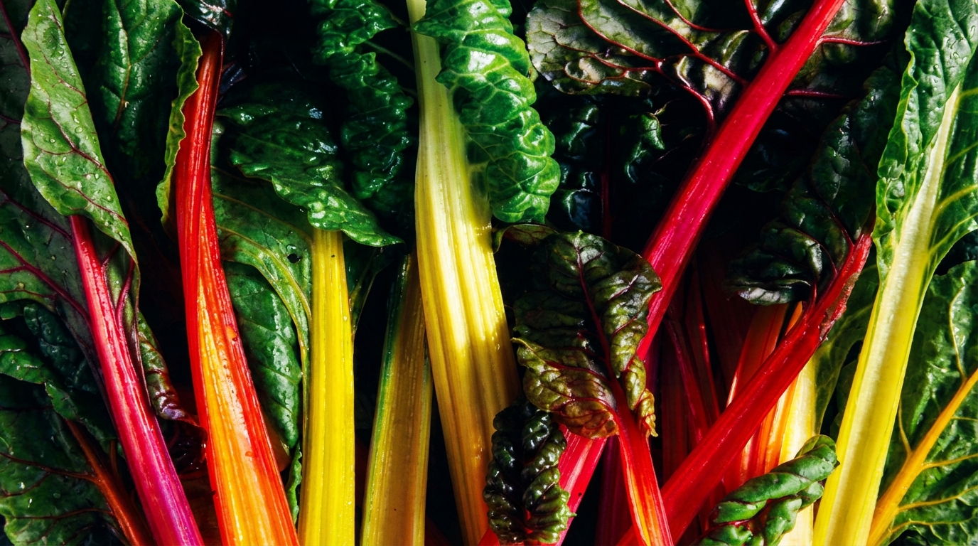 Healthy Food Franchise ROI: Profit Margins & Returns In 2026
