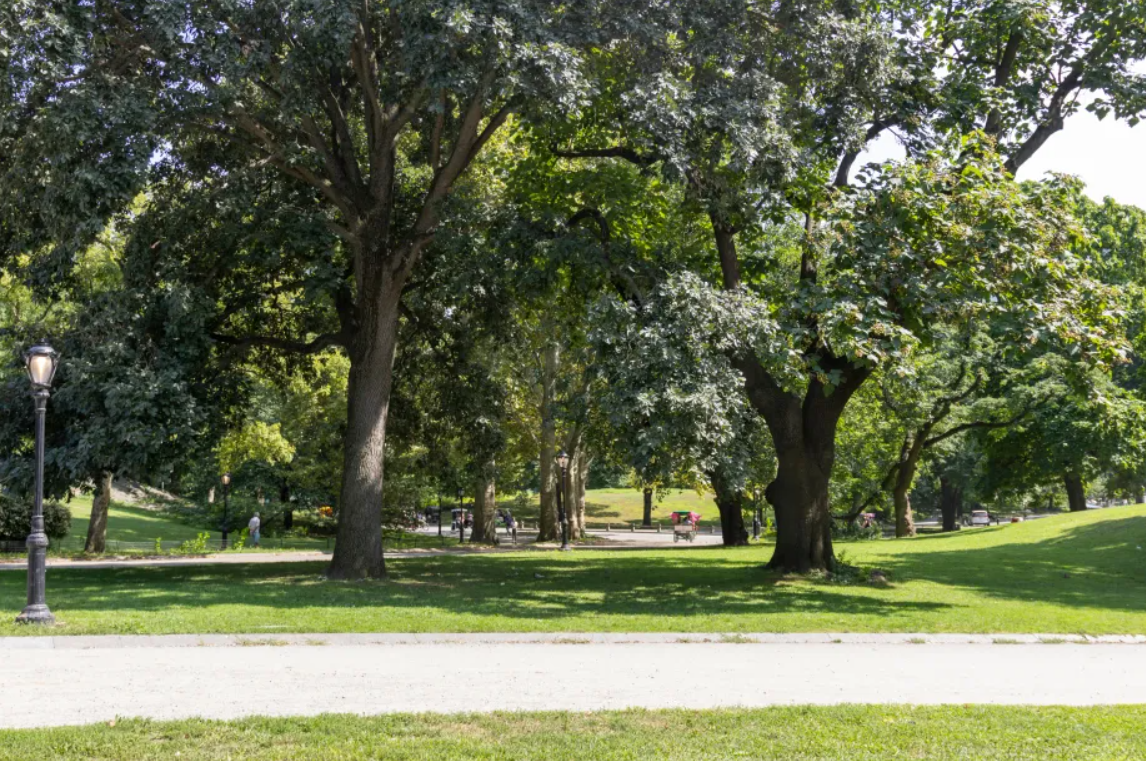 Vista da Praça Adolpho Bloch, no Jardim América, em São Paulo, com áreas verdes, árvores e caminhos para caminhada, espaço de lazer e convivência.