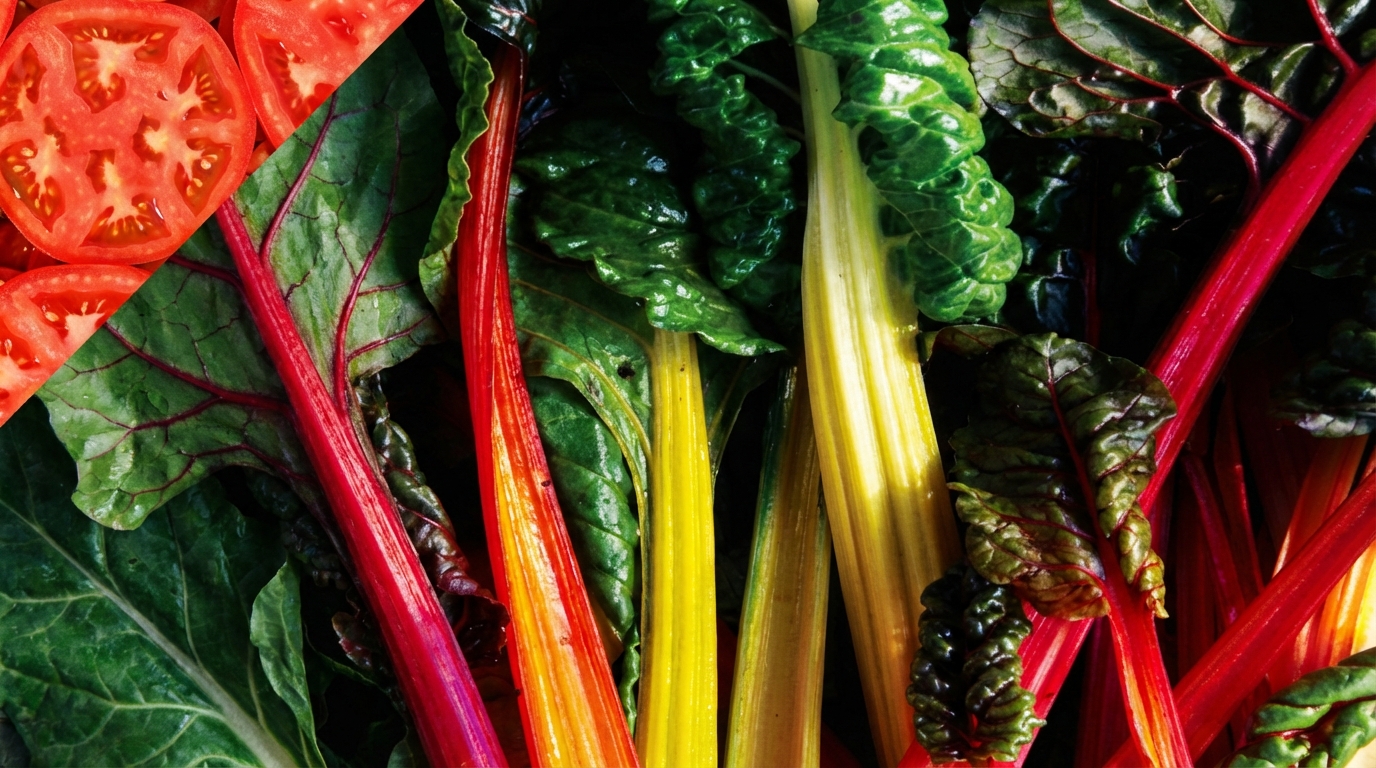 Best Healthy Food Franchises With Strong Training Support
