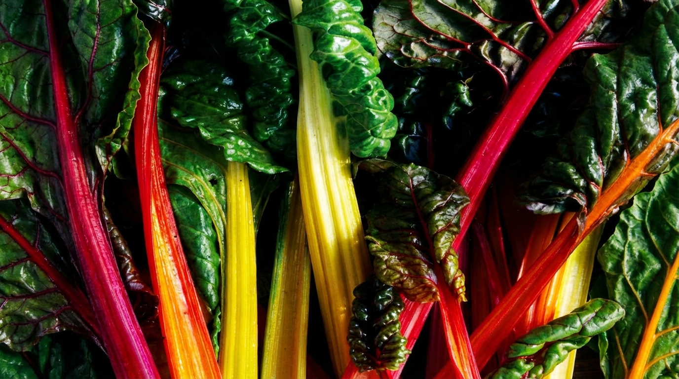 Top 12 Healthy Fast Casual Alternatives to Chipotle (2026)
