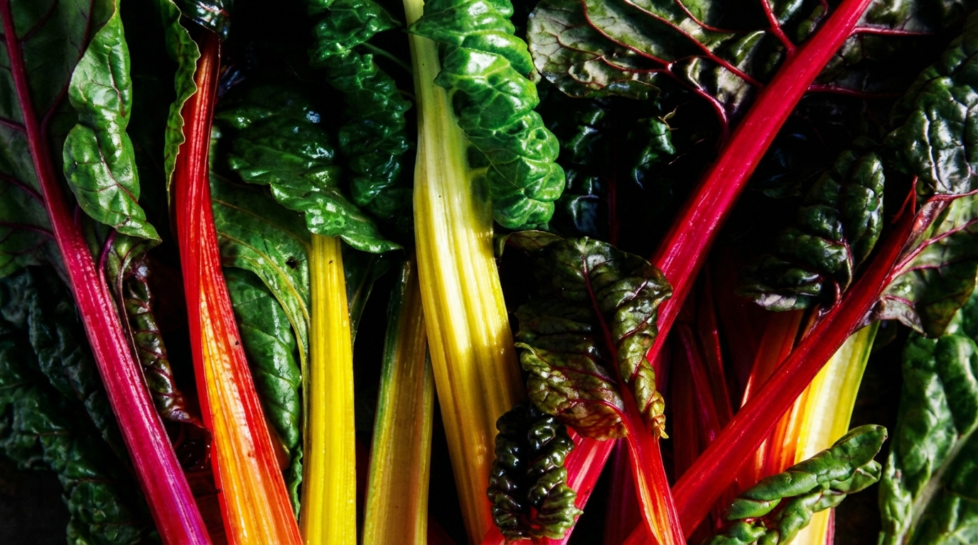 Most Profitable Healthy Fast Casual Franchise Opportunities