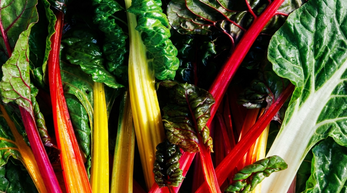 Best Whole Food Restaurant Franchise Opportunities 2026