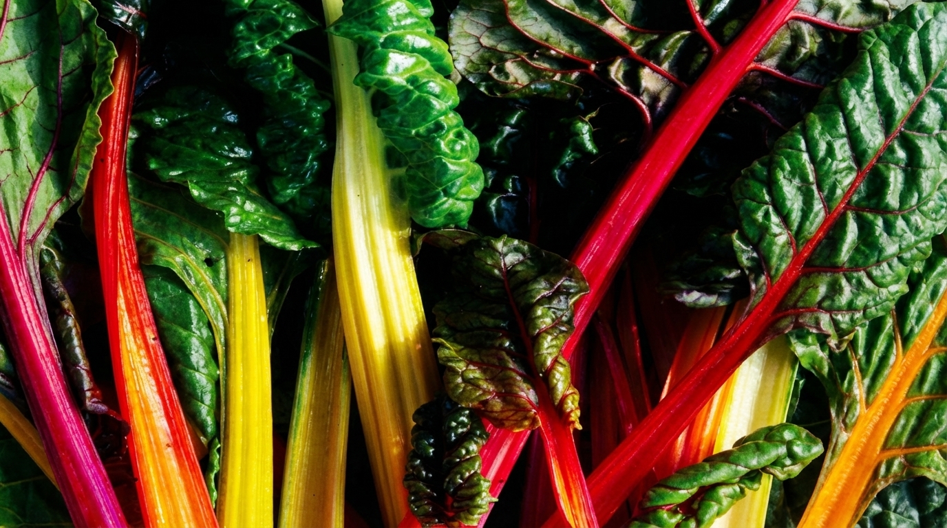 Whole Food vs Fast Casual: Health, Speed & Scale