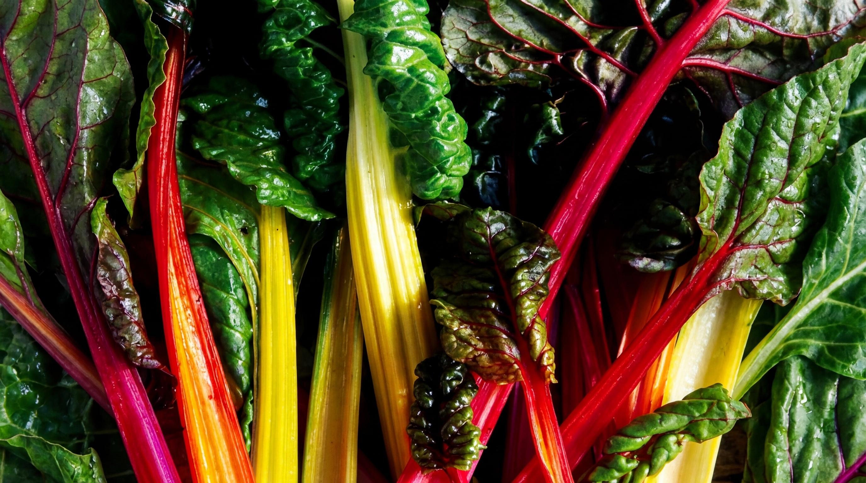 Whole Food Corporate Wellness Catering Programs