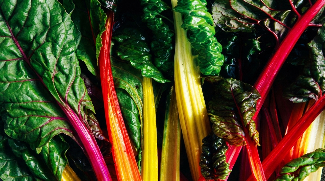 Best Fast Casual Franchise for Health Conscious Customers