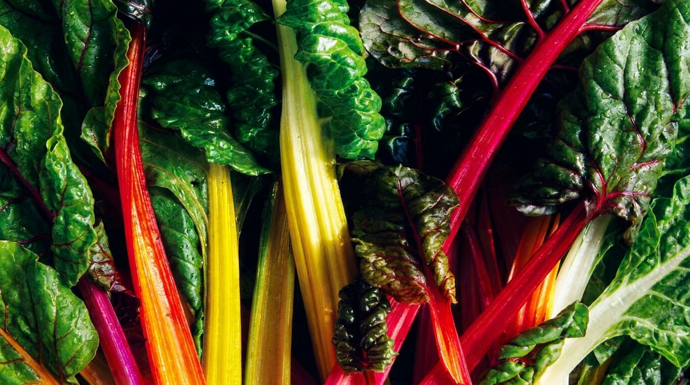 Chop5 Salad Franchise vs Breadless: Better ROI Alternative