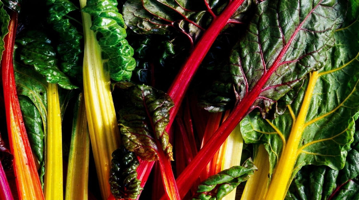 Salad Franchise Unit Economics: Margins, Costs & ROI Guide