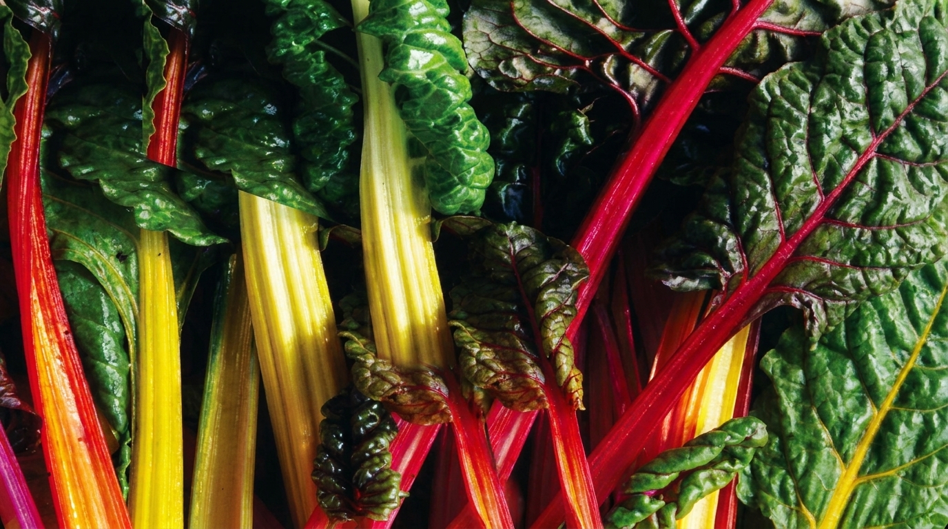 Small Footprint Whole Food Restaurant Franchise Guide