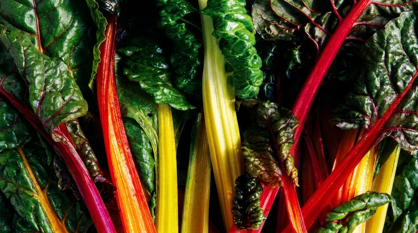 Top 12 Gluten Free Whole Food Restaurants: Complete Guide