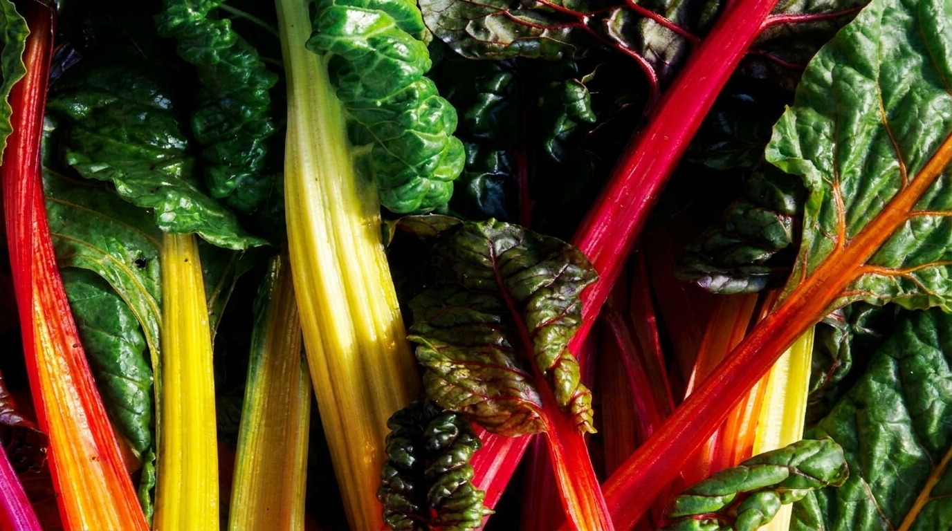 Food Franchise Due Diligence: 10-Step Guide & Checklist
