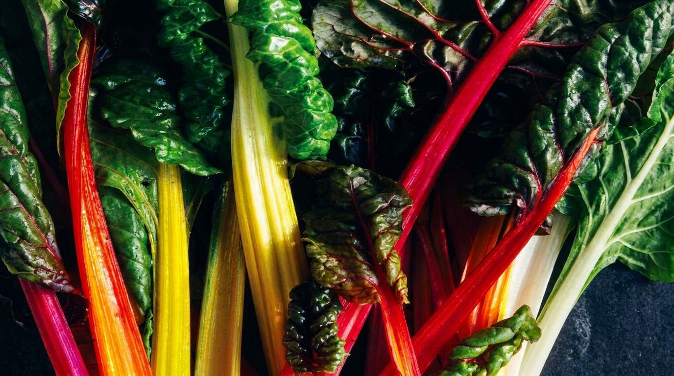 Healthy Food Franchise Royalty Fees: 2026 Complete Guide