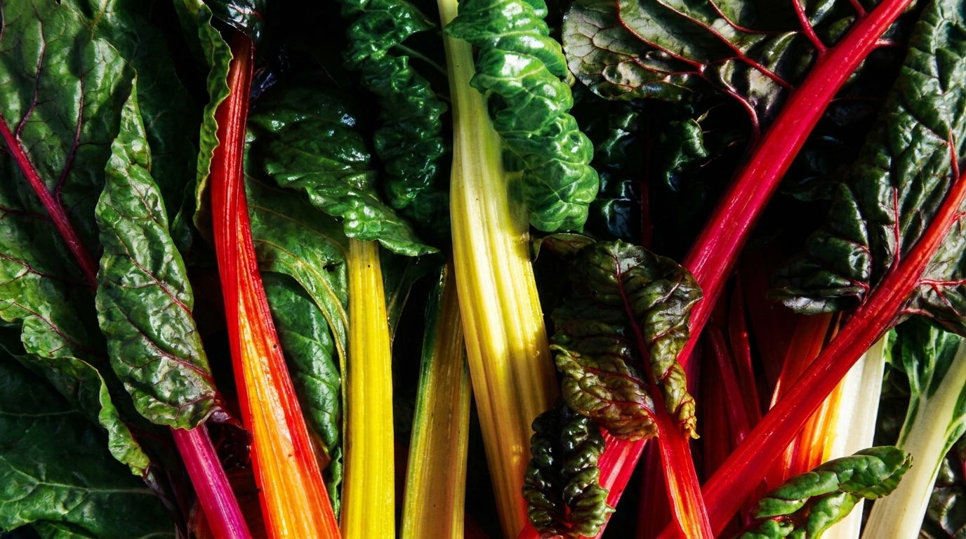 How to Start a Salad Franchise in 2026: Complete Guide