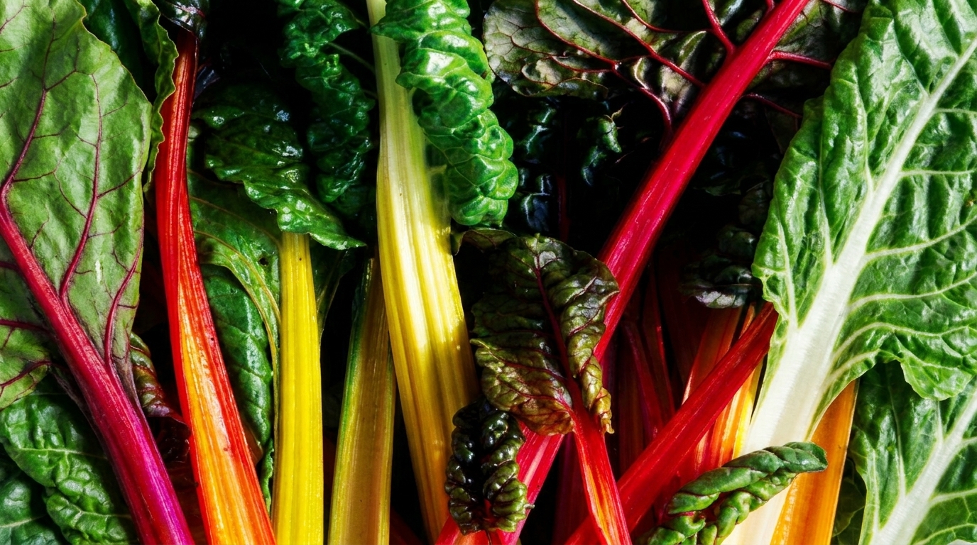 Healthy Food Franchise Area Development Agreements Guide