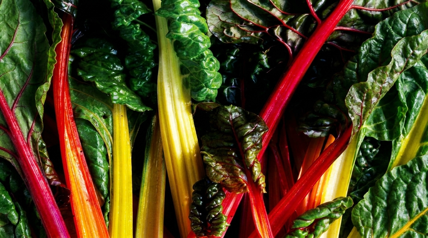 10 Fast Casual Healthy No Kitchen Meals in Under 5 Minutes