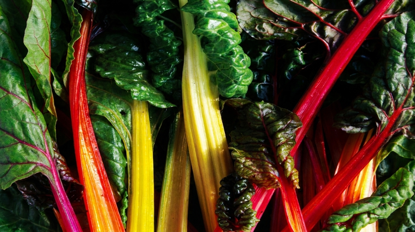 How to Qualify for Healthy Food Franchise in 2026