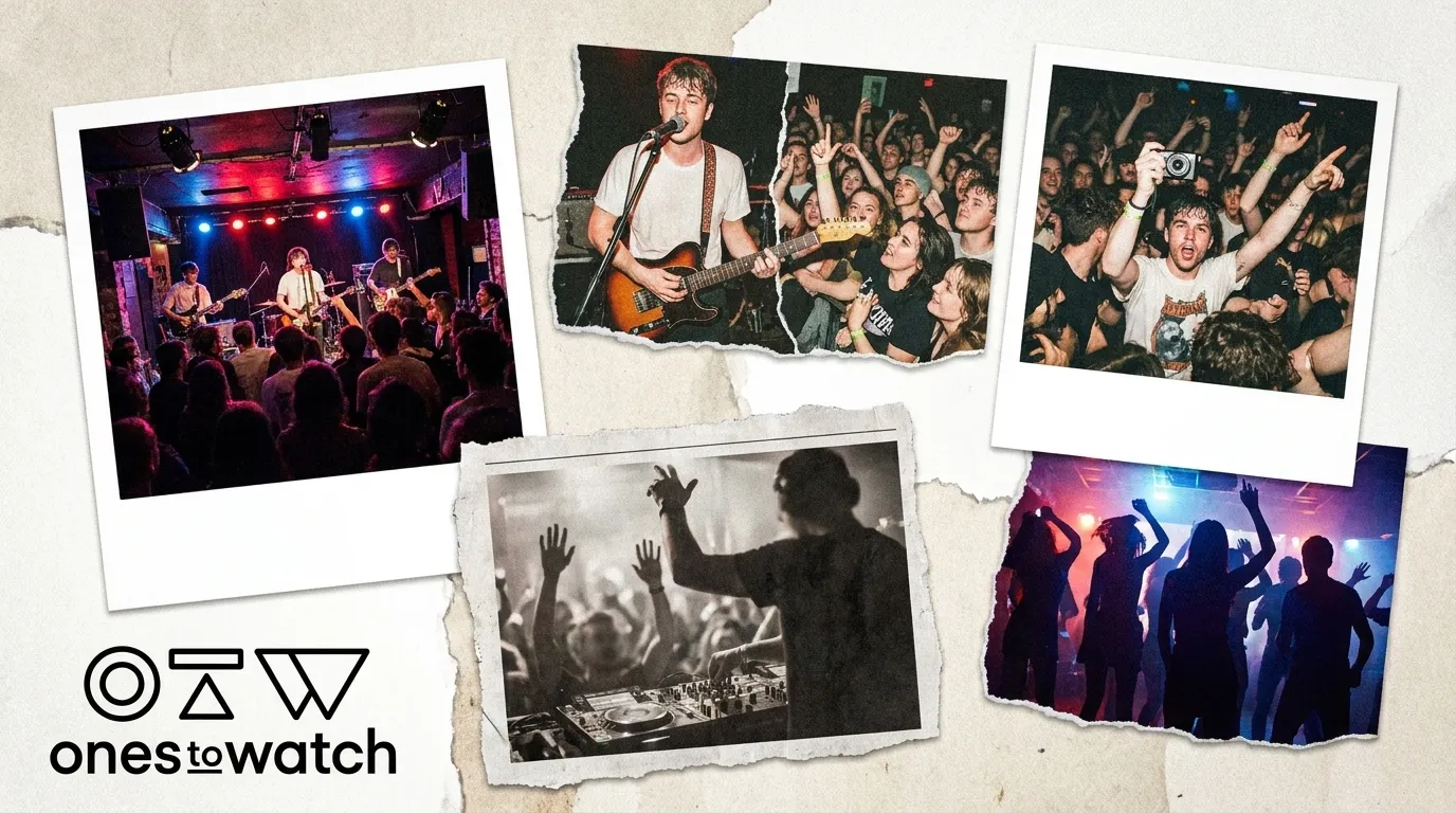 Portola Music Discovery: Find Your Next Favorite Artist