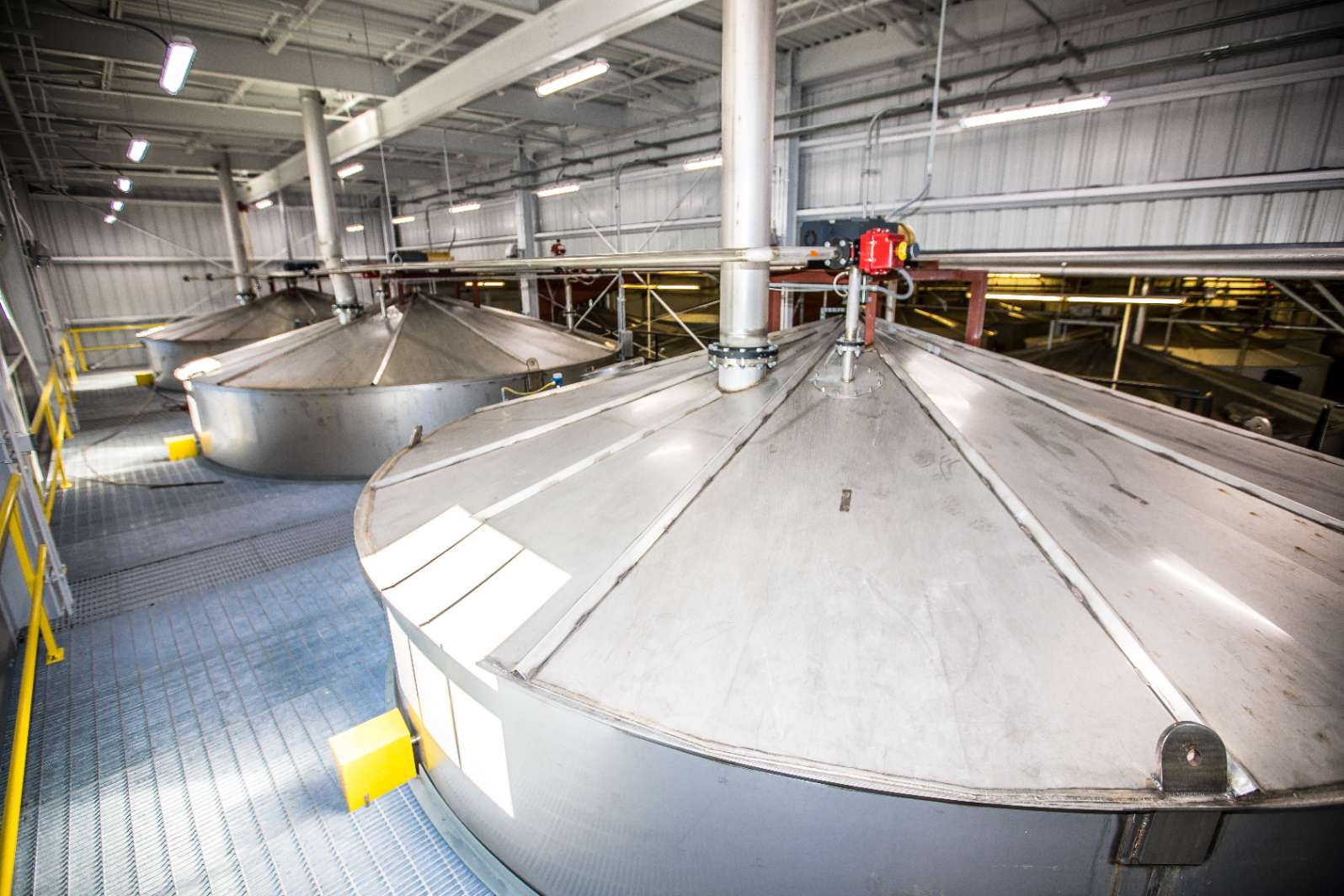 The fermentation process, part of what you see in the Beam Made Bourbon Tour & Tasting.
