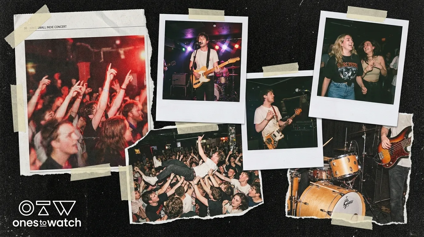 Best Rising Talent Playlists for Discovering New Artists