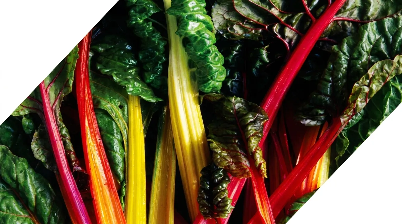 Low Glycemic Meal Franchise Denver: Stable Energy Daily