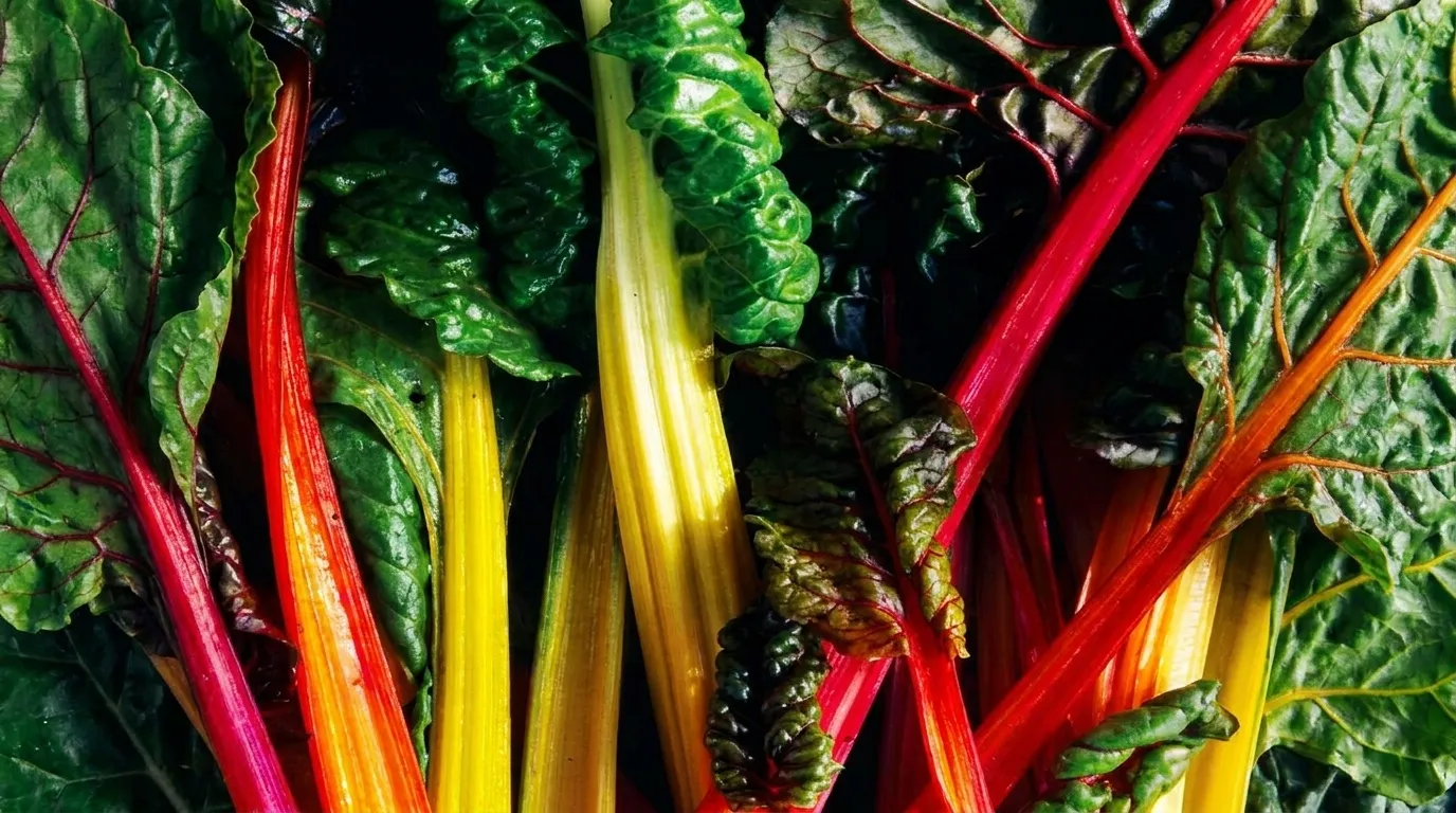 Healthy Restaurant Franchise Opportunities in Miami