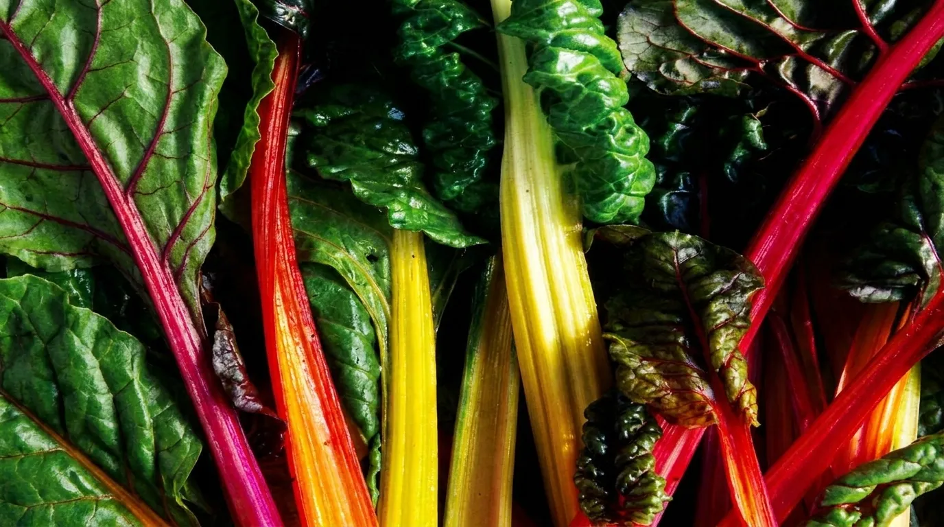 Nutrient-Dense Franchise Opportunities in Charlotte