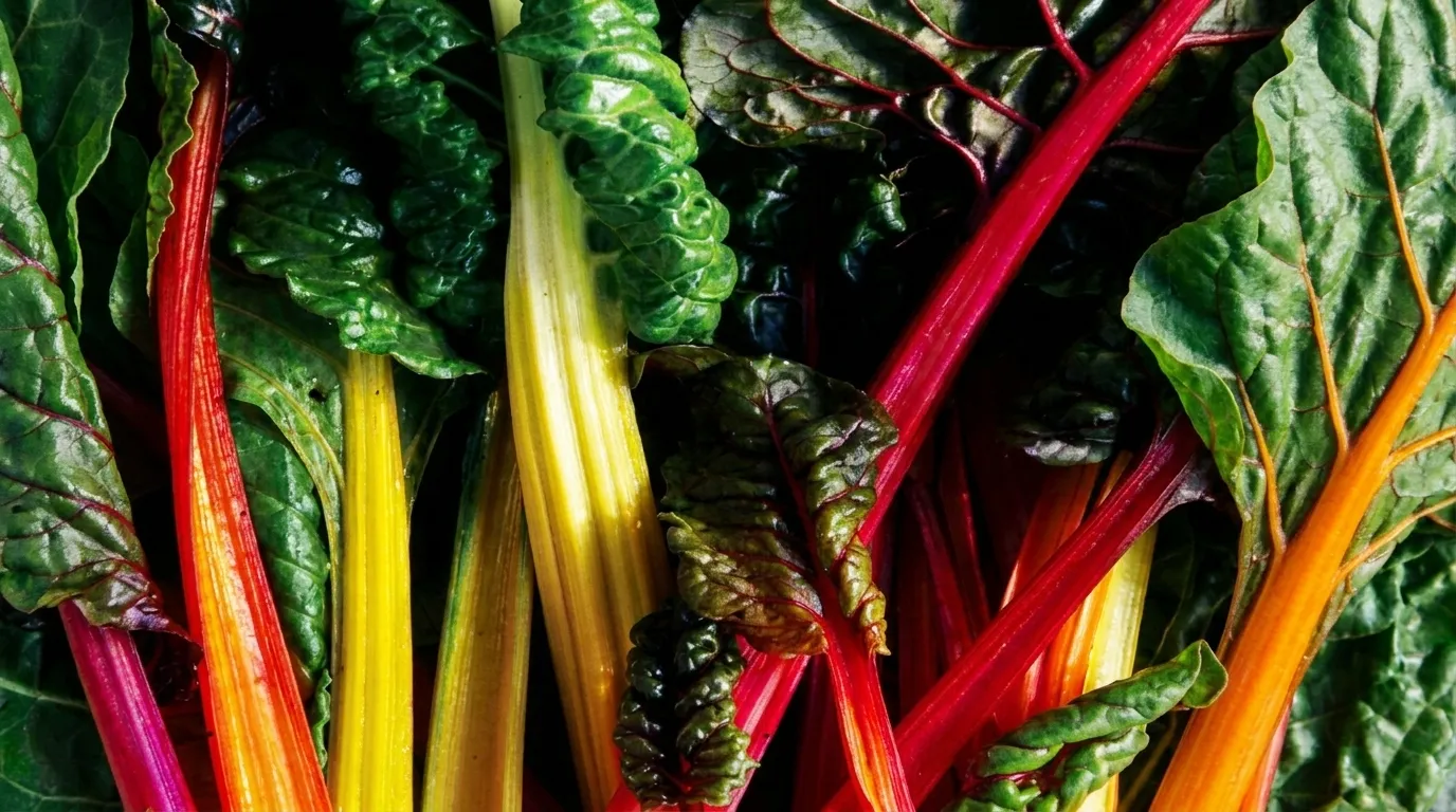 Whole30 Compliant Franchise Opportunity in Fort Worth