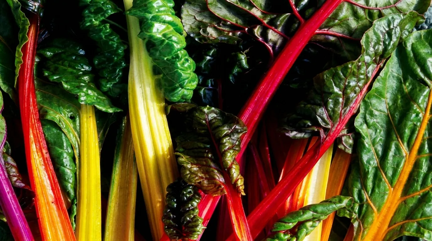 Best Pre-Workout Meals and Foods for Athletes