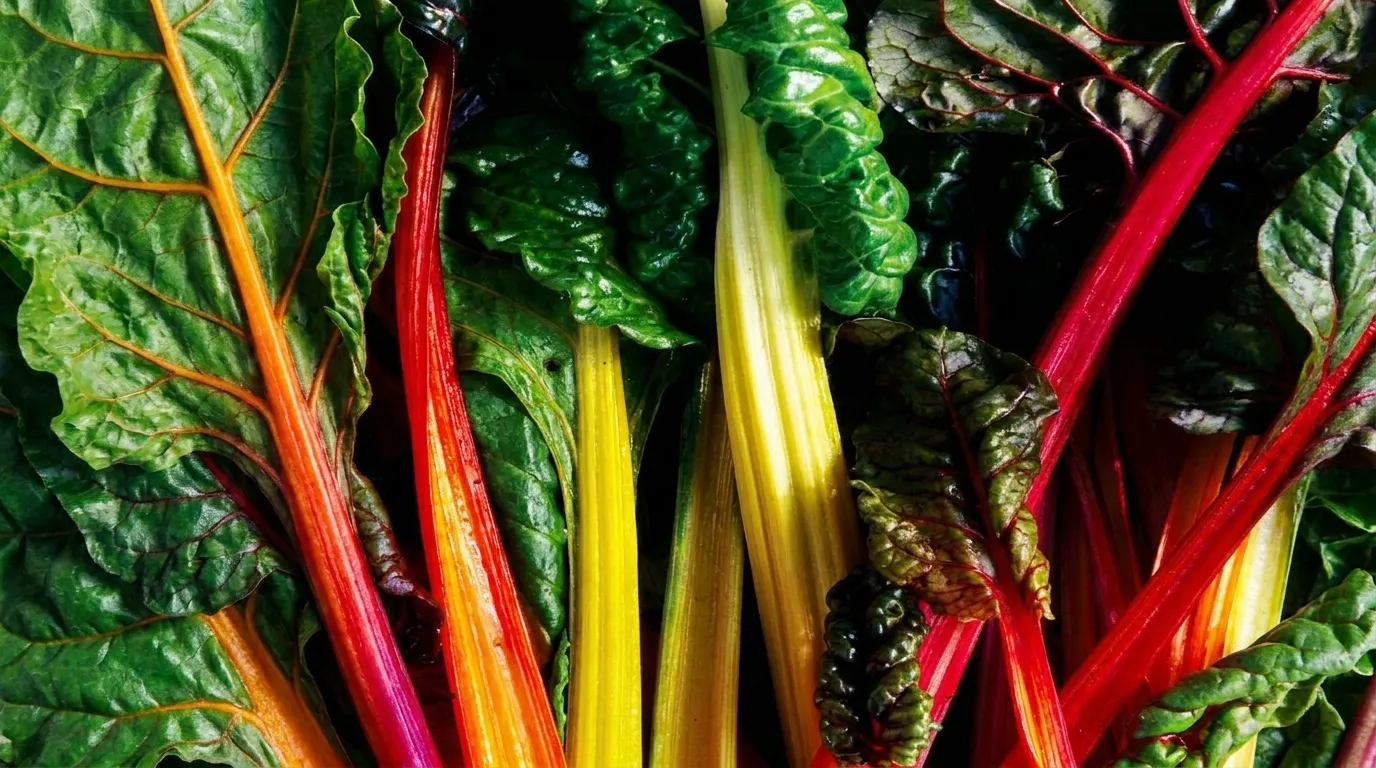 Athlete Nutrition Franchises in Charlotte, NC: Full Guide