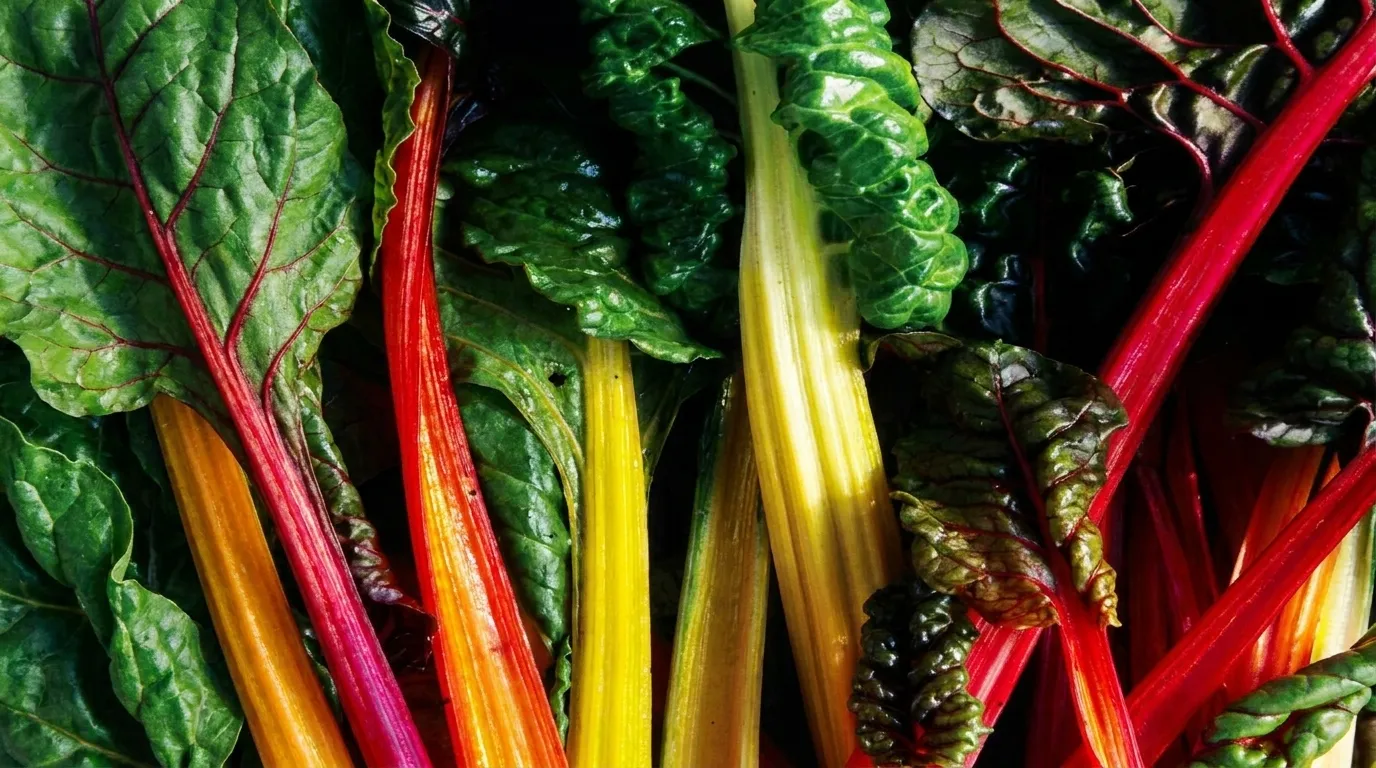 Superfood Based Low Carb Meals: The Complete Guide