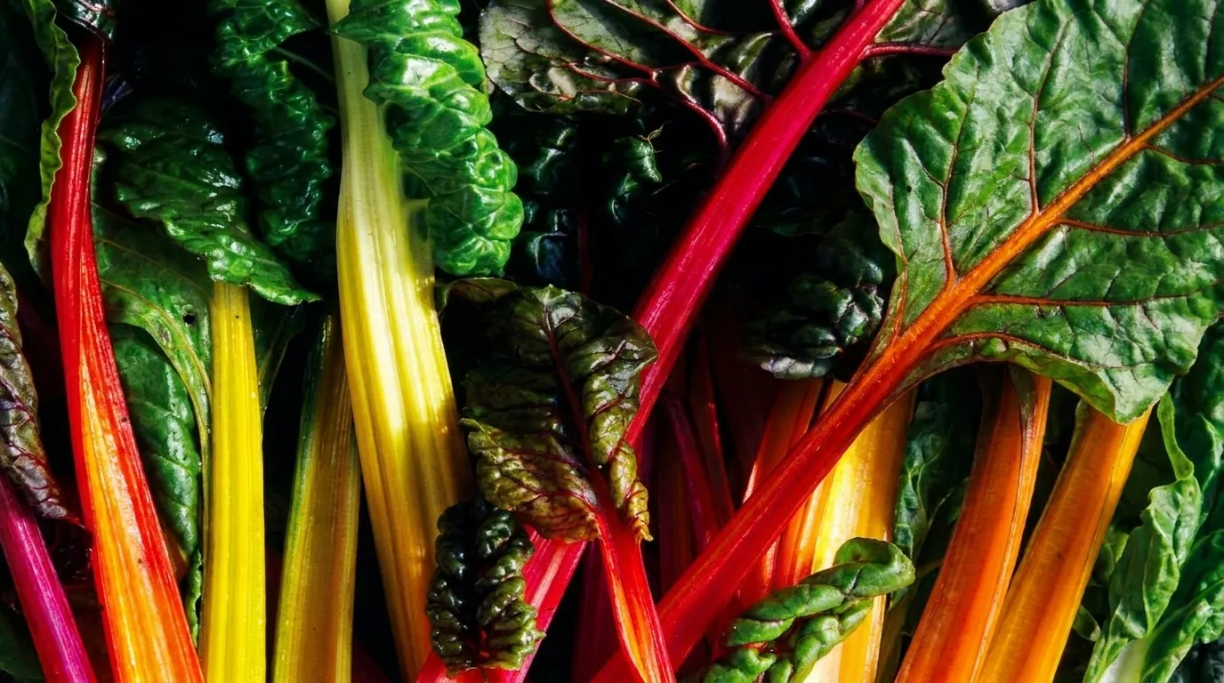 Low Carb Meals For Weight Loss: The 7-Day Plan That Works