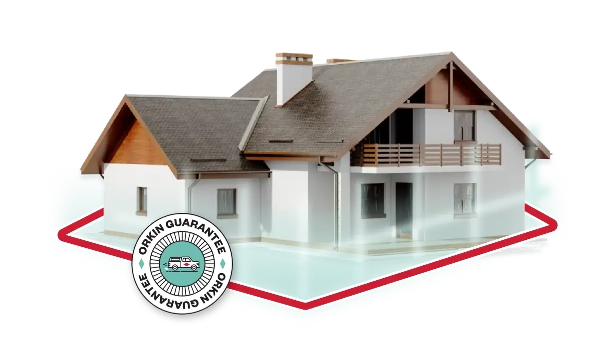 Home illustration with the Orkin Guarantee badge, representing guaranteed residential pest control protection for your house.